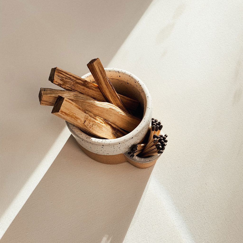 What Makes Palo Santo So Popular (And Powerful)?